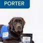 Assistance dog in blue vest next to Beyond Bones dog treat pack, promoting Paws with a Cause.