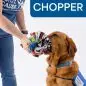 Golden retriever in blue vest, holding a colorful toy, assists during training with Paws with a Cause.