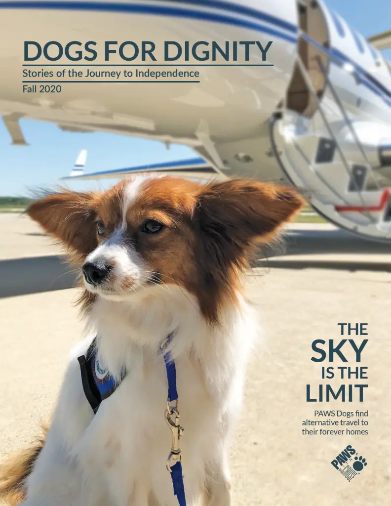 Service dog with harness in front of private jet, highlighting Dogs for Dignity magazine cover, Fall 2020 issue.