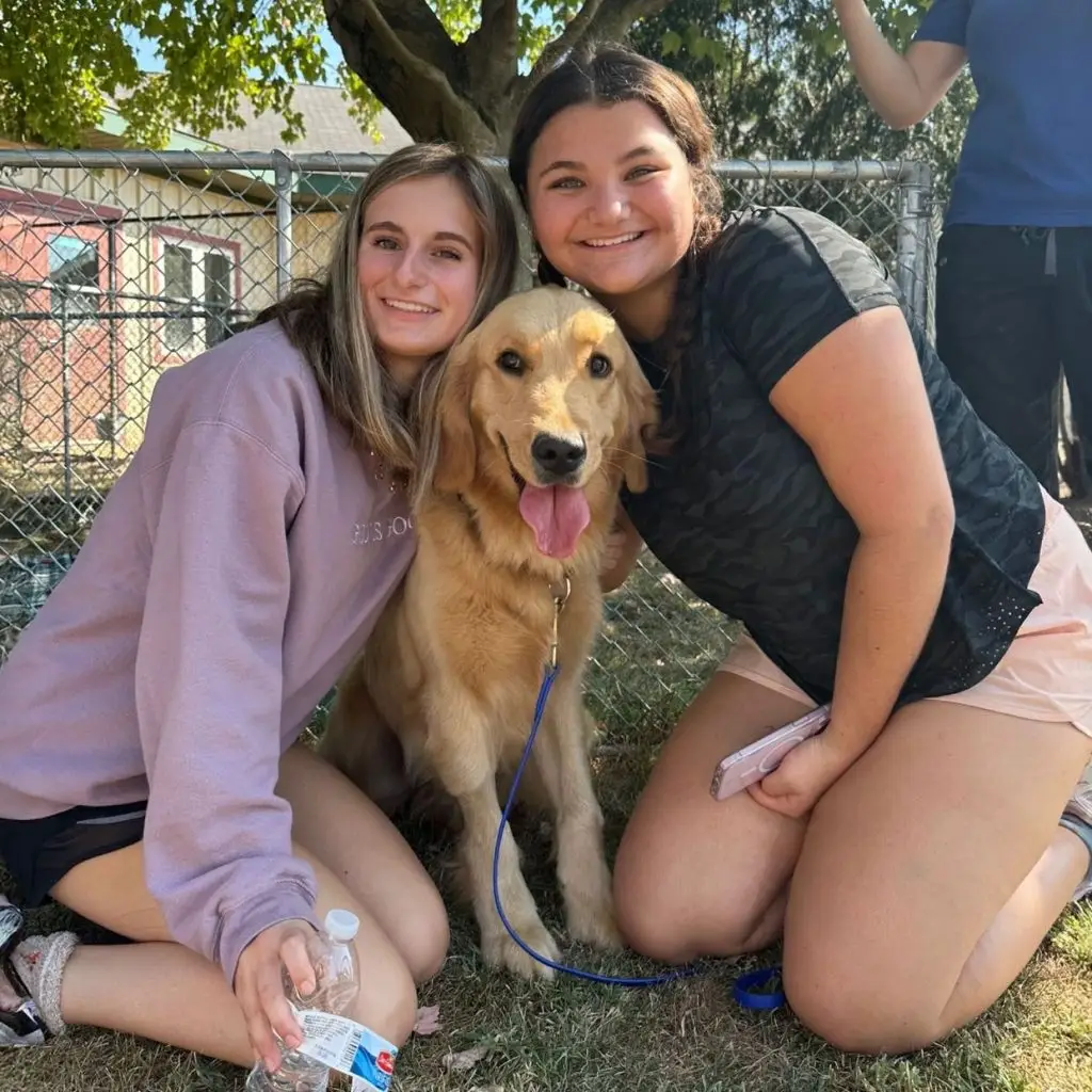 Two smiling women kneeling with a happy Golden Retriever on a grassy area, near a fence, in sunny weather.
