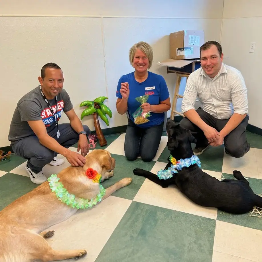 People with two decorated dogs indoors, engaging and smiling.