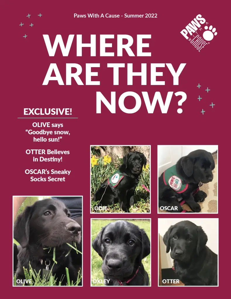 Paws With A Cause Summer 2022 issue featuring puppies Olive, Odie, Oscar, Oxley, and Otter on a red background.