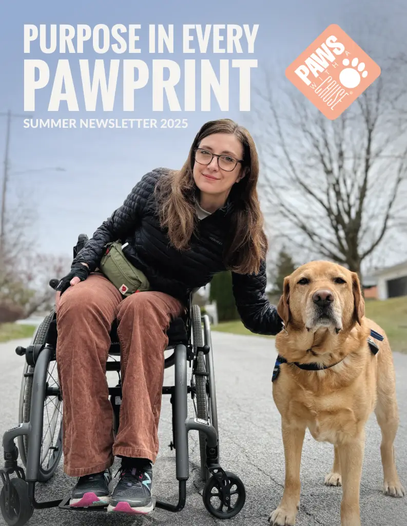 Woman in wheelchair with service dog on a street, Purpose in Every Pawprint text above.