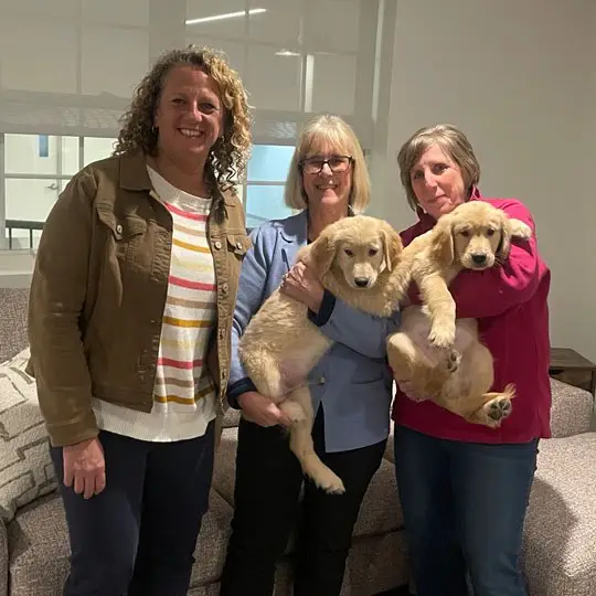Three women smiling with two adorable golden retriever puppies indoors.