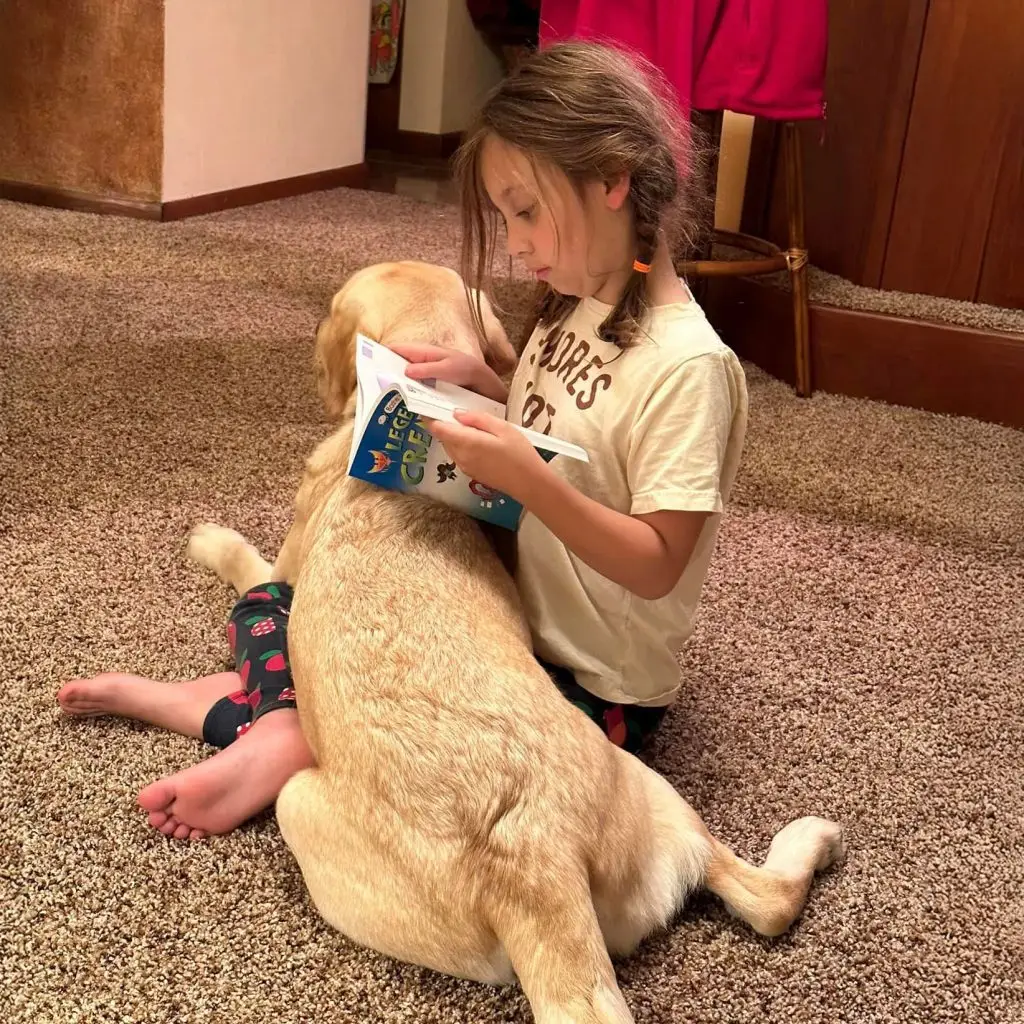 Child reading a book while sitting with a yellow labrador on a carpeted floor.