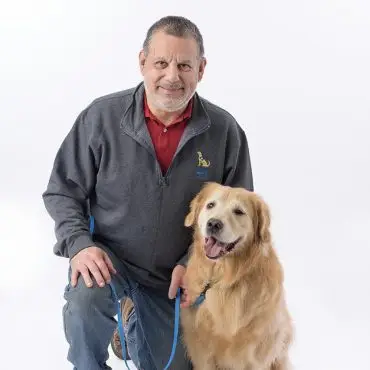 Man kneeling beside a happy golden retriever on a leash, studio background.