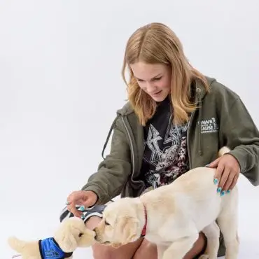 Young girl interacting with a Labrador puppy and a toy dog in a studio setting.