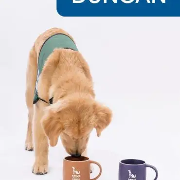 Golden retriever sniffs brown Paws for Cause mug with name Duncan above. Blue mug nearby.