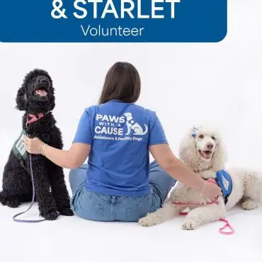 Volunteer with Paws With a Cause, sitting with two service dogs.