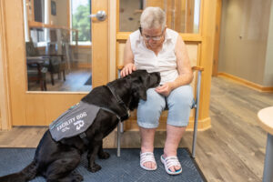 Elderly woman petting a facility therapy dog indoors, seated on a chair wearing casual attire.