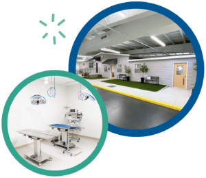 Veterinary clinic interior with surgical room and waiting area for pets, showcasing modern facilities.