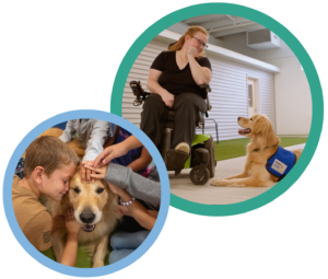 Girl in wheelchair interacts with therapy dog; children pet another therapy dog, creating joyful connections.