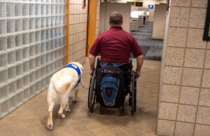 Person in wheelchair with service dog navigating an office hallway.