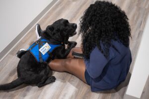 Assistance dog in blue vest with woman, sitting on floor offering emotional support.