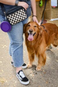 Golden retriever happily standing by owner in jeans and sneakers outdoors.