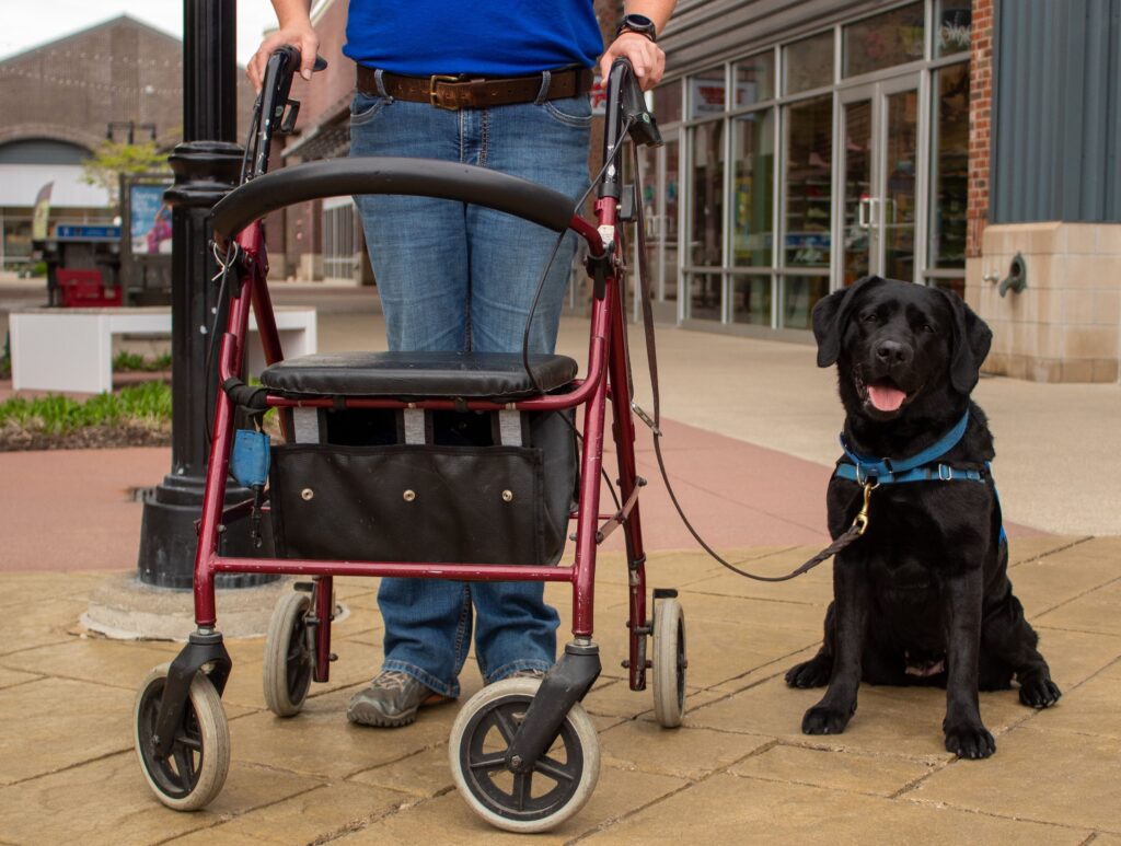 Person with a walker and black service dog sitting outside, showcasing mobility assistance in an urban setting.