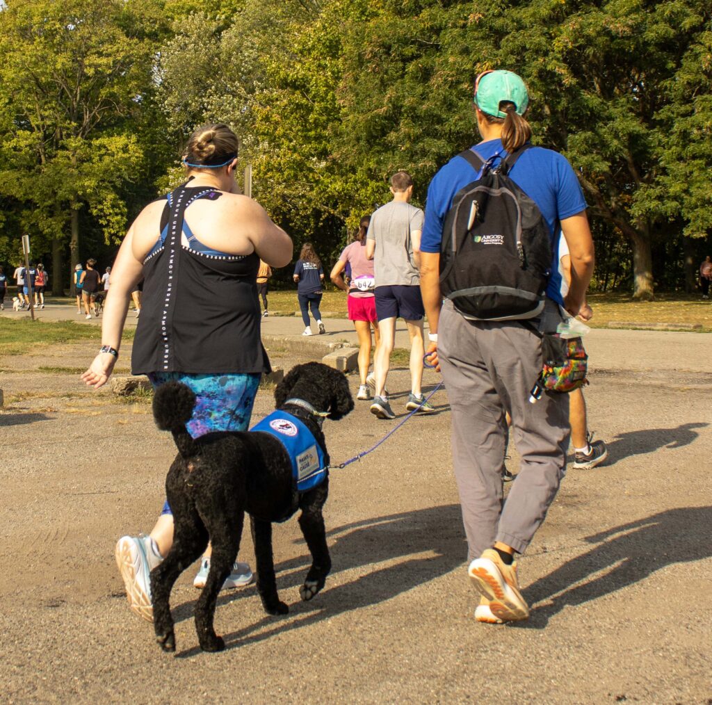 People jogging in a park with a service dog on a sunny day, surrounded by green trees.