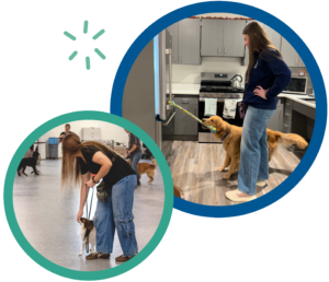 Dog training in action: Woman with a dog in a room, and another scene with a dog pulling a rope in a kitchen.