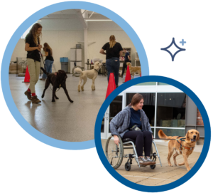 Dog training indoors and a woman in a wheelchair with a service dog outside.