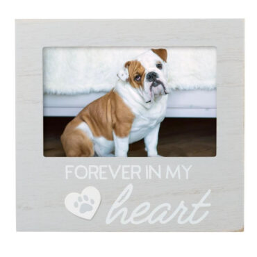 Bulldog sitting in Forever in My Heart photo frame, capturing a heartfelt memory.