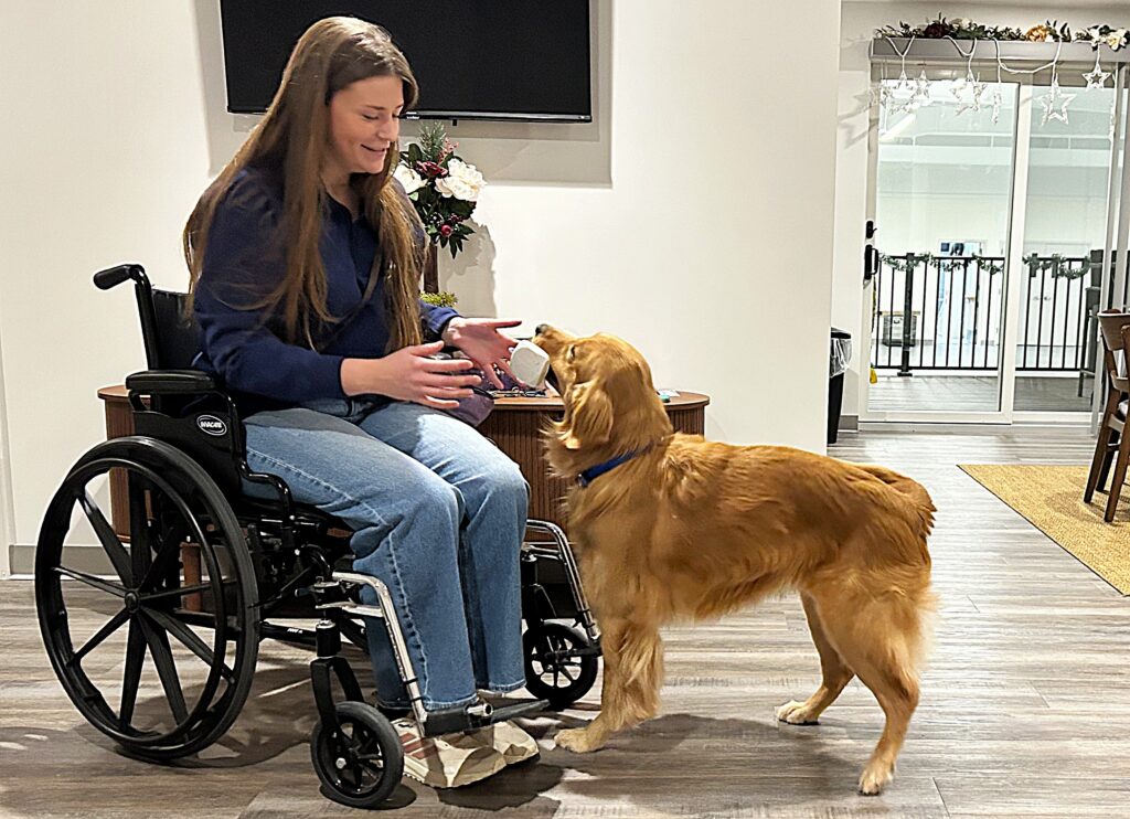 Woman in wheelchair interacts with a golden retriever holding a cup in its mouth indoors.