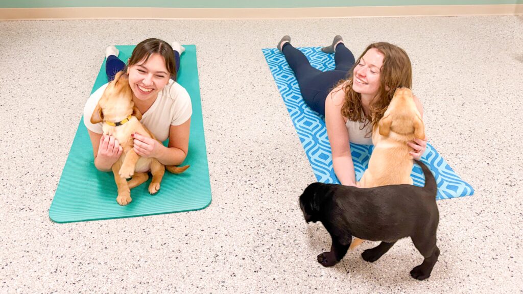 Women smiling with puppies on yoga mats, enjoying a playful yoga session with dogs.