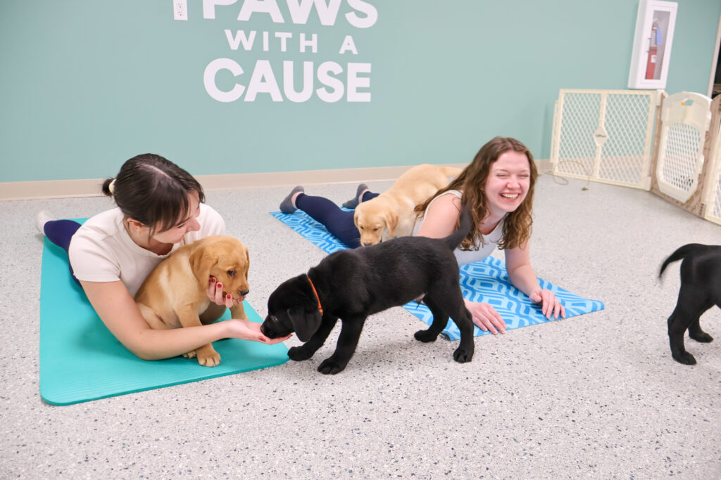 Women playing with puppies during a joyful yoga session in a pet-friendly studio.