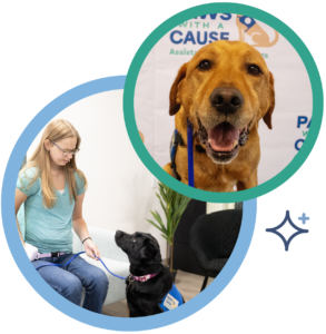 Woman training service dog; happy Labrador featured. Paws With a Cause support and training.