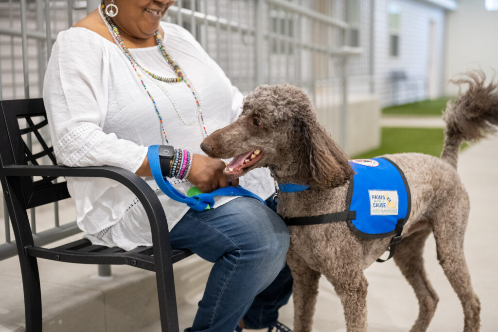 Person smiling at a service dog wearing a blue vest, outdoors on a bench.