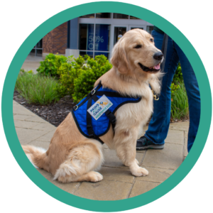 Golden retriever assistance dog wearing a blue vest sits beside handler outdoors.