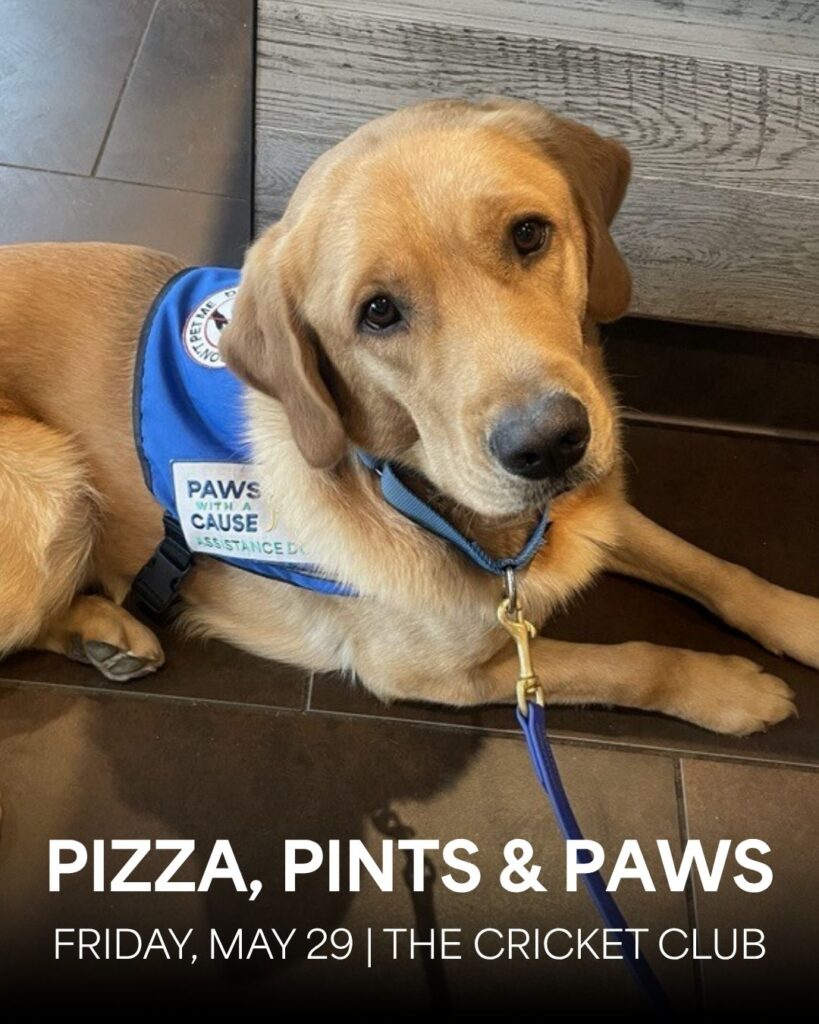 Service dog in blue vest lying down, promoting Pizza, Pints & Paws event on May 29 at The Cricket Club.