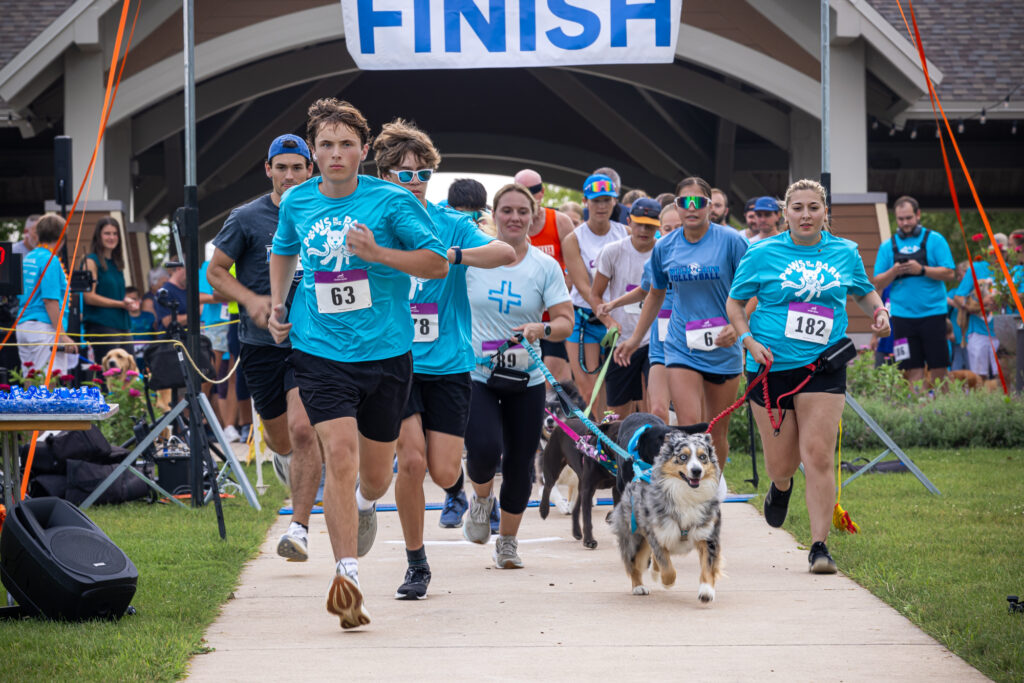 Runners and dogs sprinting to the finish line at a lively charity race event.