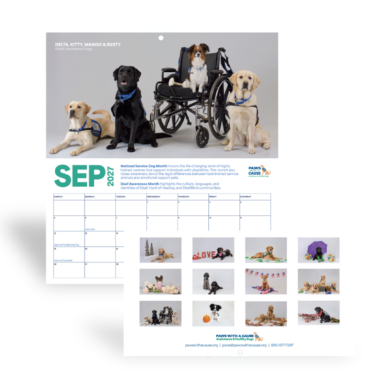Service dogs calendar for September 2024, featuring four dogs, one in a wheelchair. Celebrating National Service Dog Month.