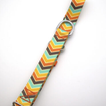 Colorful zigzag pattern dog collar with metal rings on white background. Ideal for stylish pet accessories.