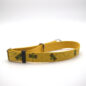 Yellow dog collar with bee design on white background, featuring a hexagonal pattern and metal clasp.