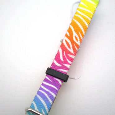 Colorful zebra-striped adjustable watch strap in rainbow hues on white background.