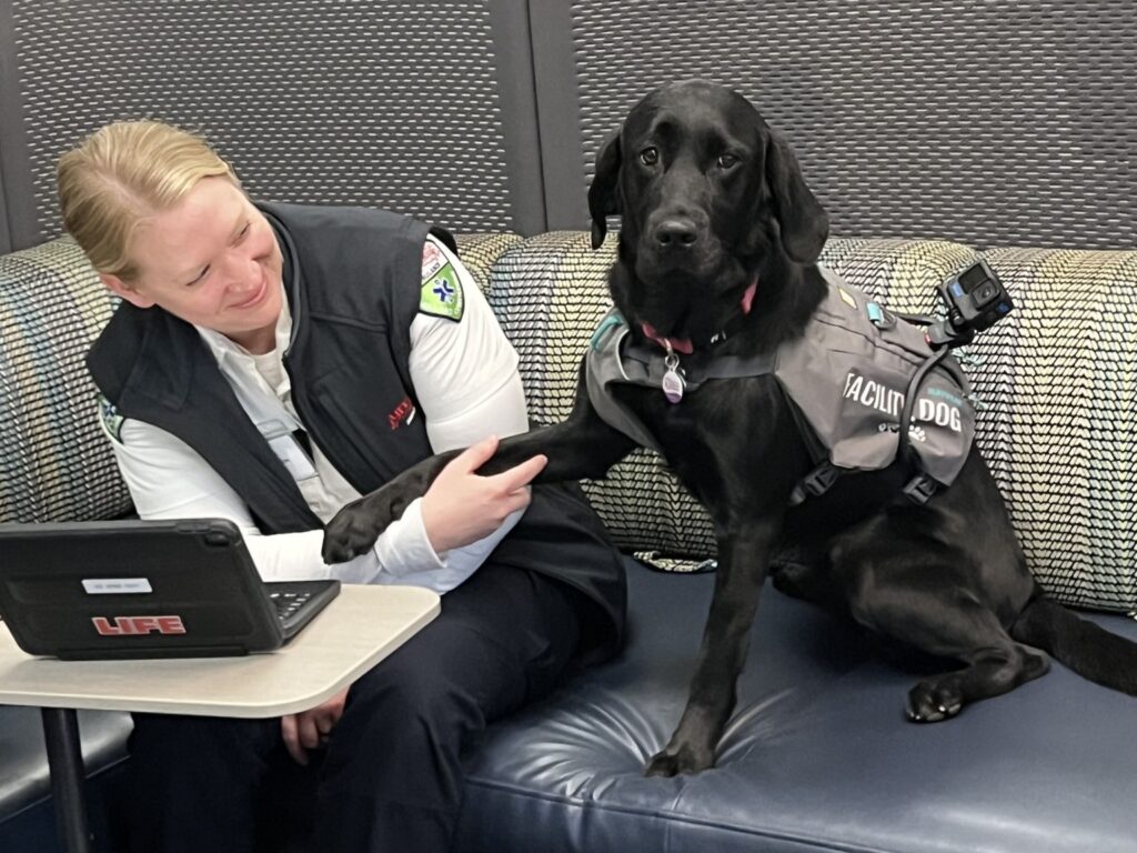 A therapy dog holding hands with an EMS worker, showcasing support in a facility setting.